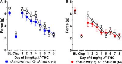 Sex Differences in Tolerance to Delta-9-Tetrahydrocannabinol in Mice With Cisplatin-Evoked Chronic Neuropathic Pain